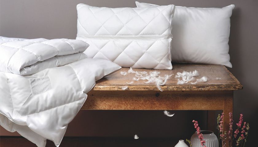 Welches Duvet für Allergiker? Darauf sollten Sie wirklich achten.